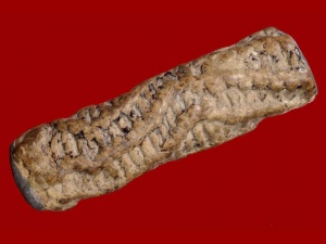 หลวงปู่ศุข  วัดปากคลองฯ                        สุดยอดพระเกจิอาจารย์อาคมแก่กล้า