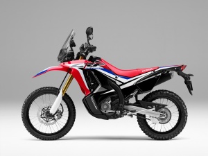 New Honda CRF250 Rally  เอาใจคนชอบขี่ลุยสไตล์แรลลี่